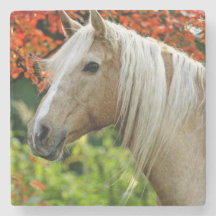Beautiful Palomino Draught Horse