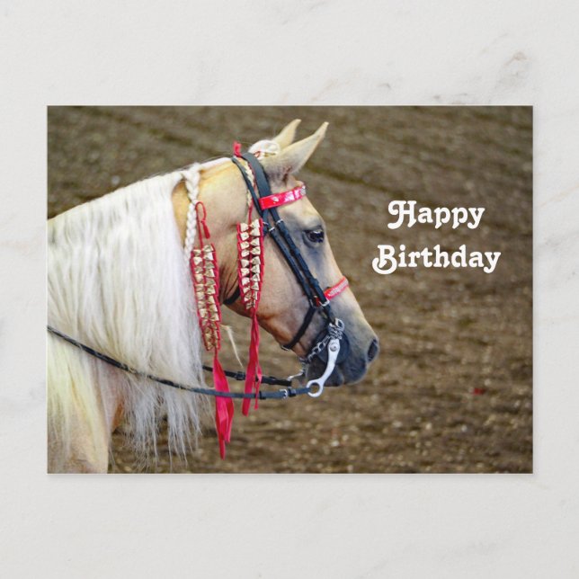 Beautiful Palomino Horse Photo Birthday Postcard (Front)