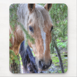 Beautiful Palomino Paint Horse & Branches in Rain Mouse Mat