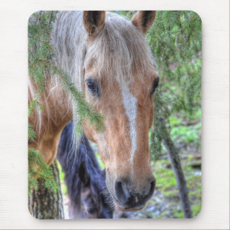 Beautiful Palomino Paint Horse & Branches in Rain Mouse Mat