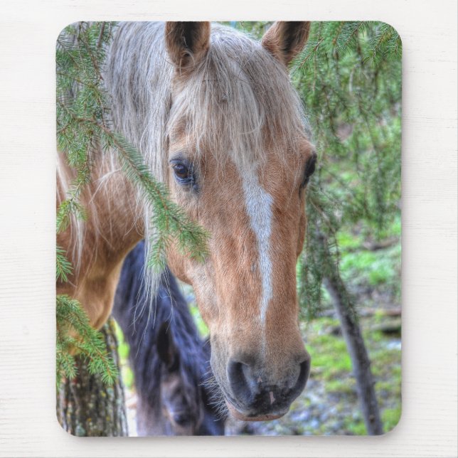 Beautiful Palomino Paint Horse & Branches in Rain Mouse Mat (Front)