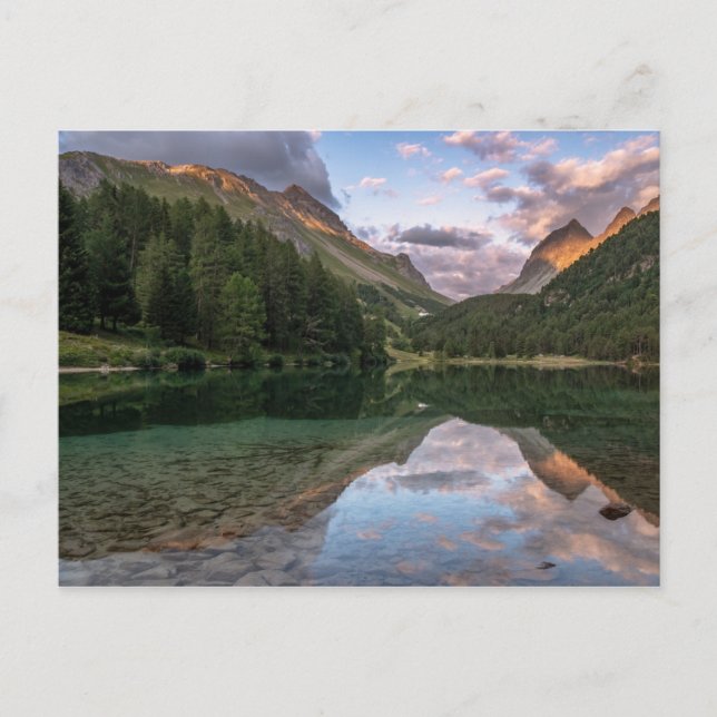Beautiful Palpuogna Lake | Swiss Alps Postcard (Front)