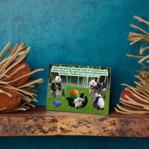 Beautiful Panda Scripture Plaque Psalms 16:11
