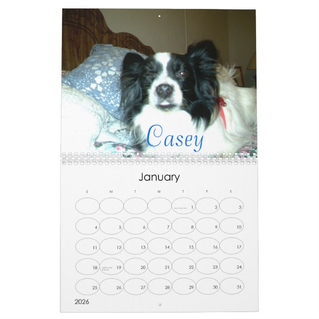 Beautiful Papillons, 2007 Calendar (Jan 2026)