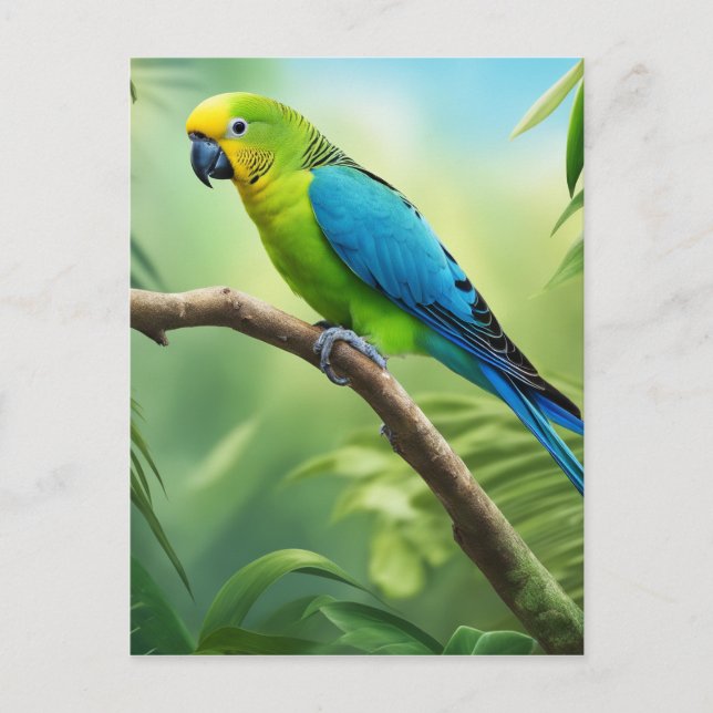 Beautiful Parakeet in the Jungle Postcard (Front)