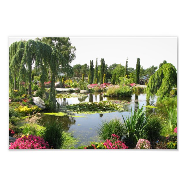 Beautiful Park View Decorative Photo (Front)