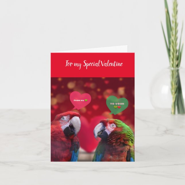Beautiful Parrots Valentine Greeting Card (Front)