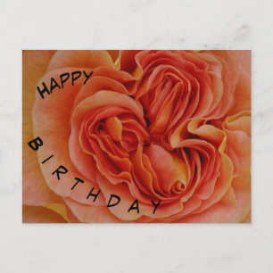 Beautiful Pastel Rose Happy Birthday Postcard