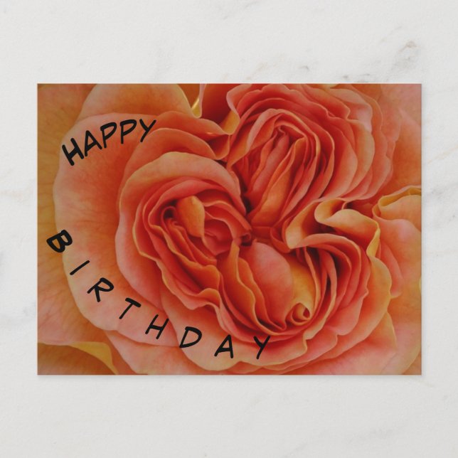 Beautiful Pastel Rose Happy Birthday Postcard (Front)
