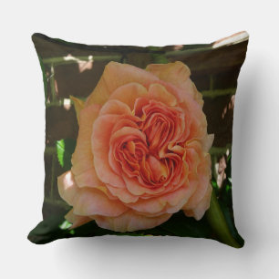 Beautiful Pastel Rose Throw Pillow