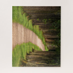 Beautiful Pathway Through the Trees Jigsaw Puzzle