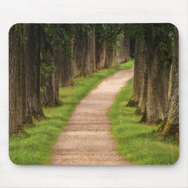 Beautiful Pathway Through the Trees Mouse Mat (Front)