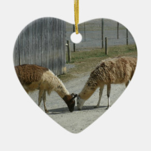 BEAUTIFUL, PEACEFUL, LLAMAS. CERAMIC TREE DECORATION