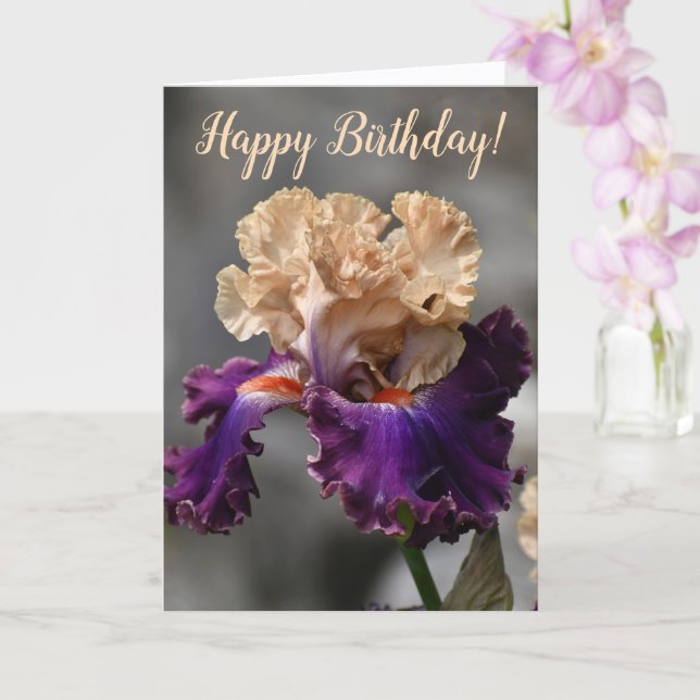 Beautiful Peach and Purple Iris Birthday Card (Orchid)
