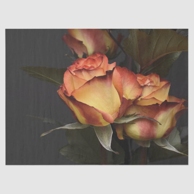 Beautiful Peach & Rust Coloured Pedals on Rose Tissue Paper (Front)