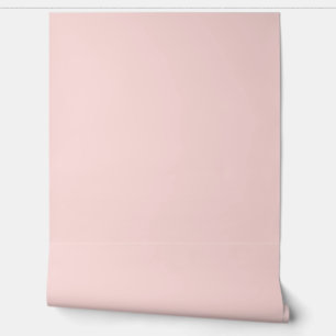 beautiful peach solid color  wallpaper