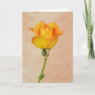 Beautiful Peach Yellow Orange Rose Art Note Card