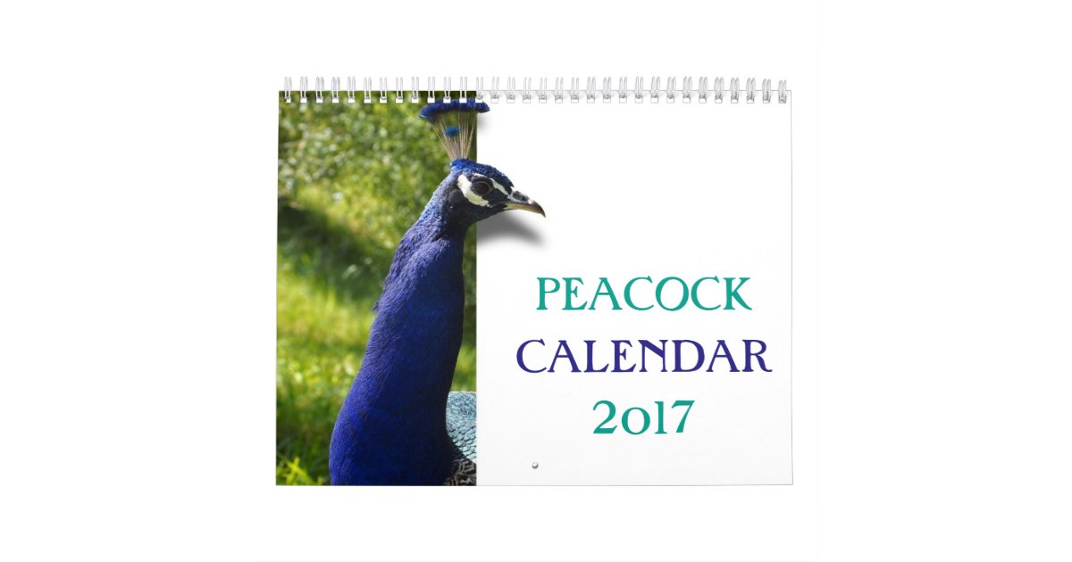 Beautiful Peacock 2017 Calendar Zazzle.co.uk