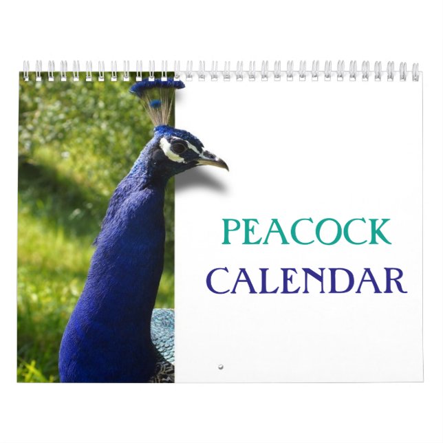 Beautiful Peacock 2026 Calendar (Cover)
