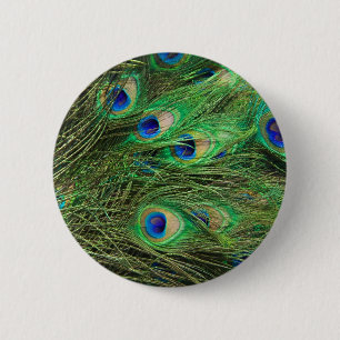 Beautiful Peacock 6 Cm Round Badge