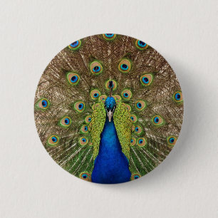 Beautiful peacock and tail feathers print 6 cm round badge