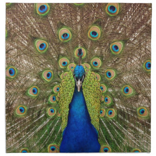 Beautiful peacock and tail feathers print napkin
