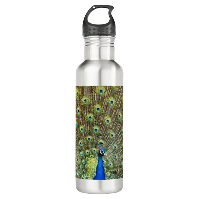 Beautiful peacock bird 710 ml water bottle (Front)