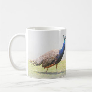 Beautiful Peacock Bird Birds Coffee Mug