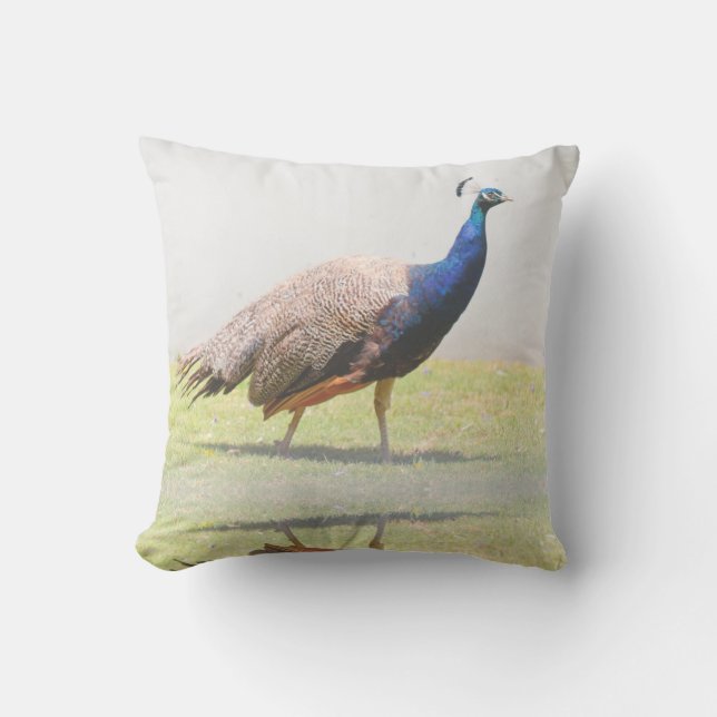 Beautiful Peacock Bird Birds Cushion (Front)