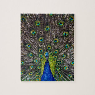 Beautiful Peacock bird Jigsaw Puzzle