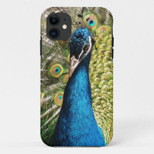 Beautiful Peacock iPhone 11 Case