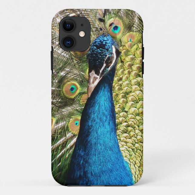 Beautiful Peacock Case-Mate iPhone Case (Back)