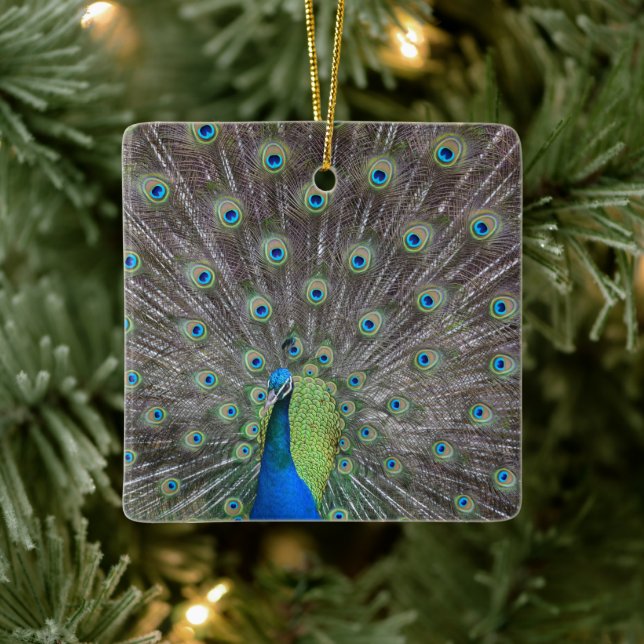 Beautiful Peacock     Ceramic Ornament (Tree)