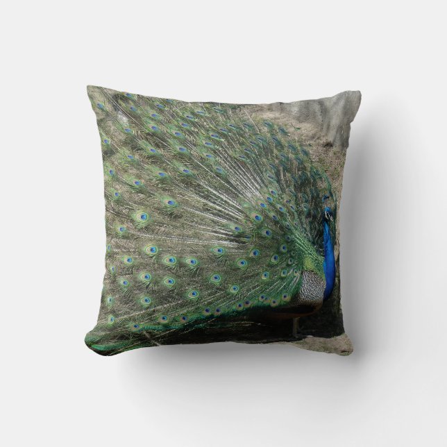 Beautiful Peacock Cushion (Front)