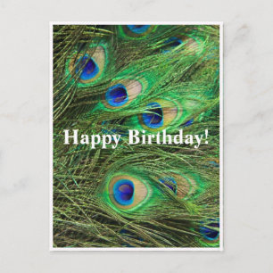 Beautiful Peacock Customisable Birthday Postcard