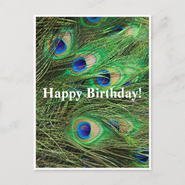 Beautiful Peacock Customisable Birthday Postcard (Front)