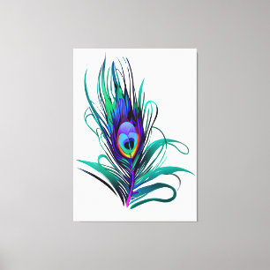 Beautiful Peacock Feather Canvas Print