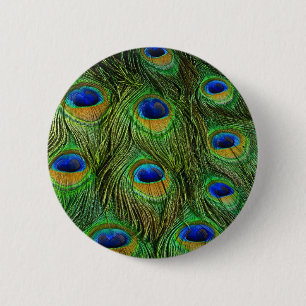 Beautiful Peacock Feathers 6 Cm Round Badge