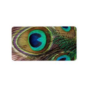 Beautiful Peacock Feathers Label
