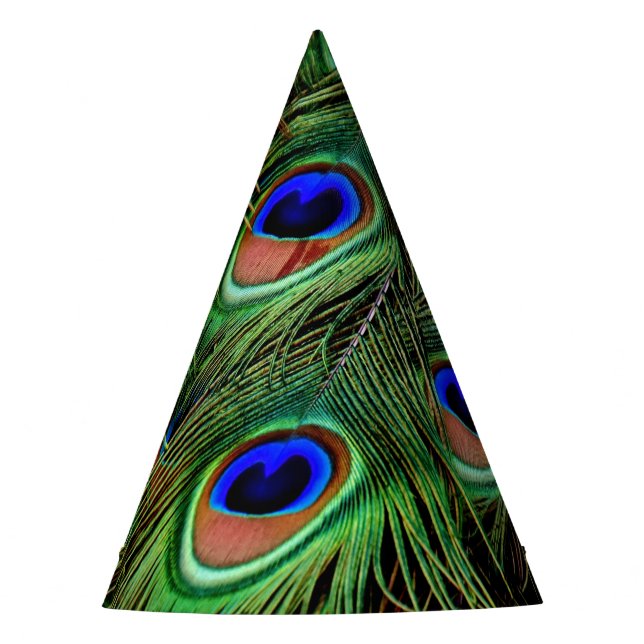 Beautiful Peacock Feathers  Party Hat (Front)