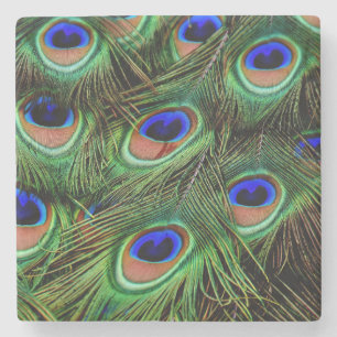Beautiful Peacock Feathers  Stone Coaster