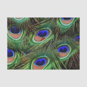 Beautiful Peacock Feathers Tissue Paper