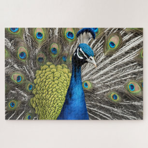 Beautiful Peacock Jigsaw Puzzle