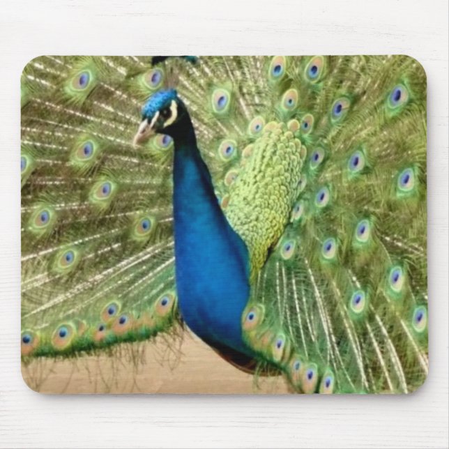 Beautiful Peacock Mouse Mat (Front)