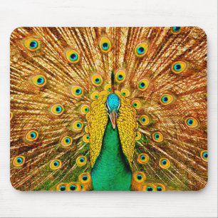 Beautiful Peacock Mouse Mat