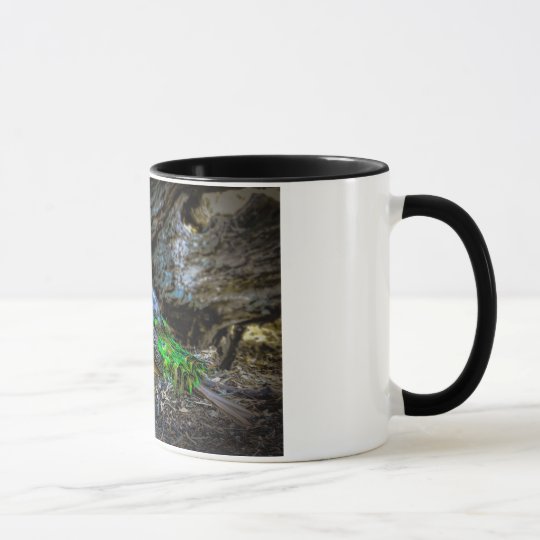 Beautiful peacock on a ringer mug