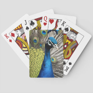 Beautiful Peacock Playing Cards