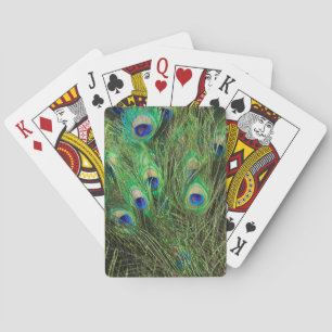 Beautiful Peacock Playing Cards