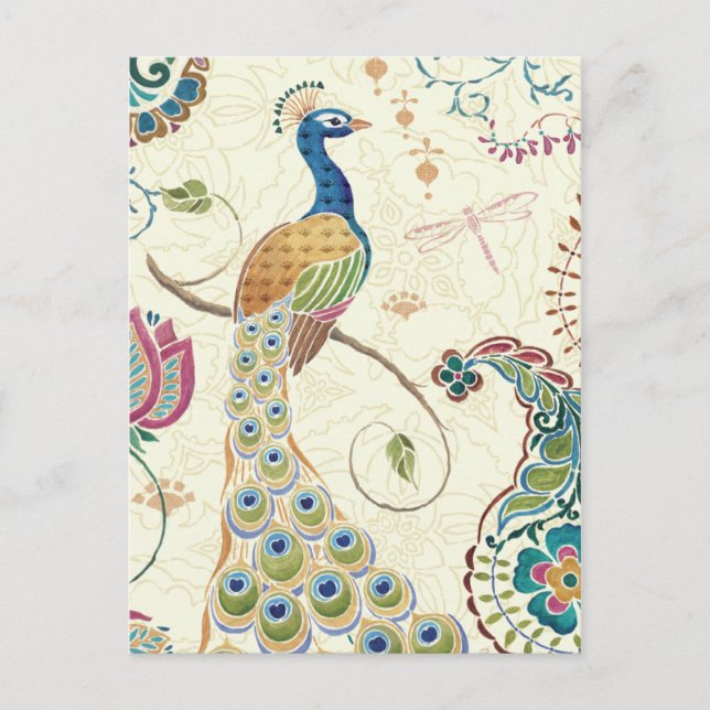 Beautiful Peacock Postcard (Front)