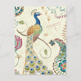 Beautiful Peacock Postcard